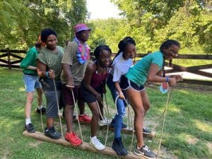 A group of people is balancing on wooden planks in a team-building activity outdoors on a sunny day.